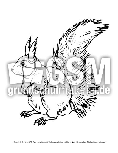 Ausmalbilder-Eichhörnchen-A-1-6.pdf